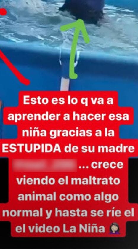 En otra 'story' Radwan pide ayuda al pueblo del país sudamericano para encontrar a la supuesta agresora: "Gente que vive en Chile por favor hagan algo con esta mujer, 
<b>es un demonio</b>, en sus historias sale ahogando un gatito en una alberca".