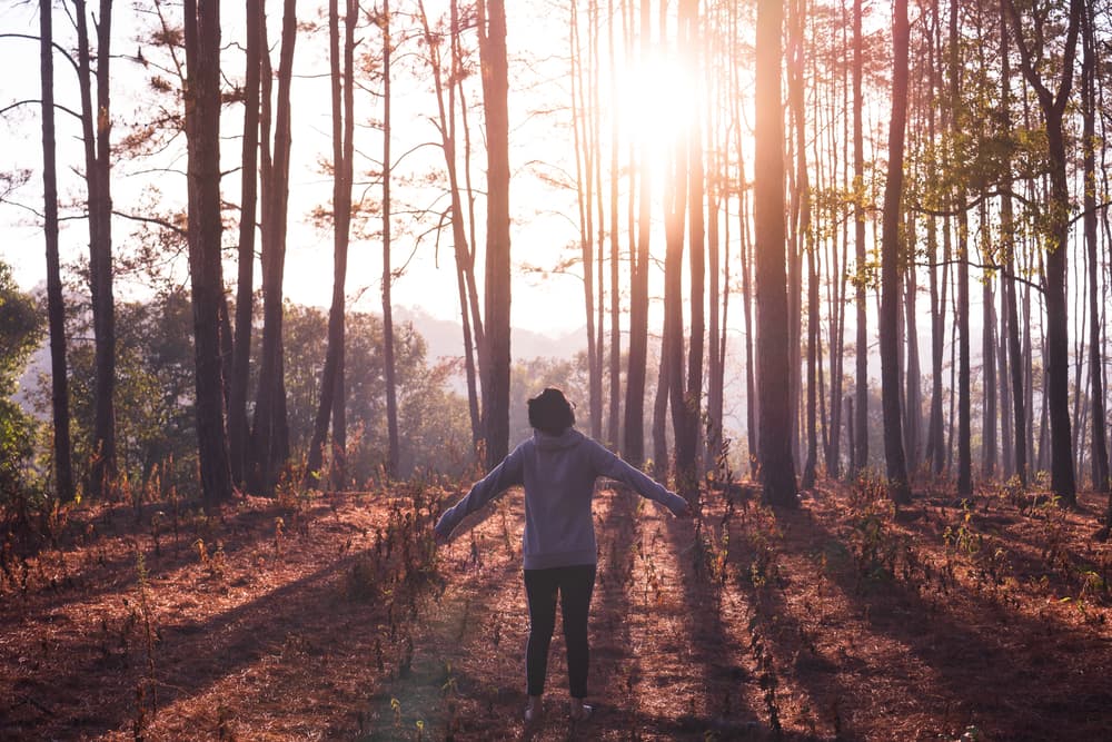 <h3 class="cms-H3-H3">Tips para recuperar y balancear tu energía femenina </h3>
<br>
<br>
<h3 class="cms-H3-H3">Camina </h3>
<br>Elige una ruta que te agrade, te haga sentir tranquila y te proporcione paz. De preferencia una donde estés en contacto con la naturaleza. Pasear te permitirá conectar con tus pasos sobre la tierra, conectar con los olores, los sonidos, sentirte libre y disfrutar el presente. 
<br>
<br>