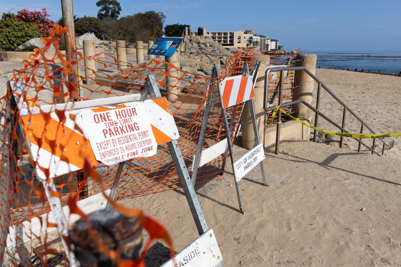 Los mamíferos marinos, incluidos los leones marinos, están protegidos por la Ley de Protección de Mamíferos Marinos.