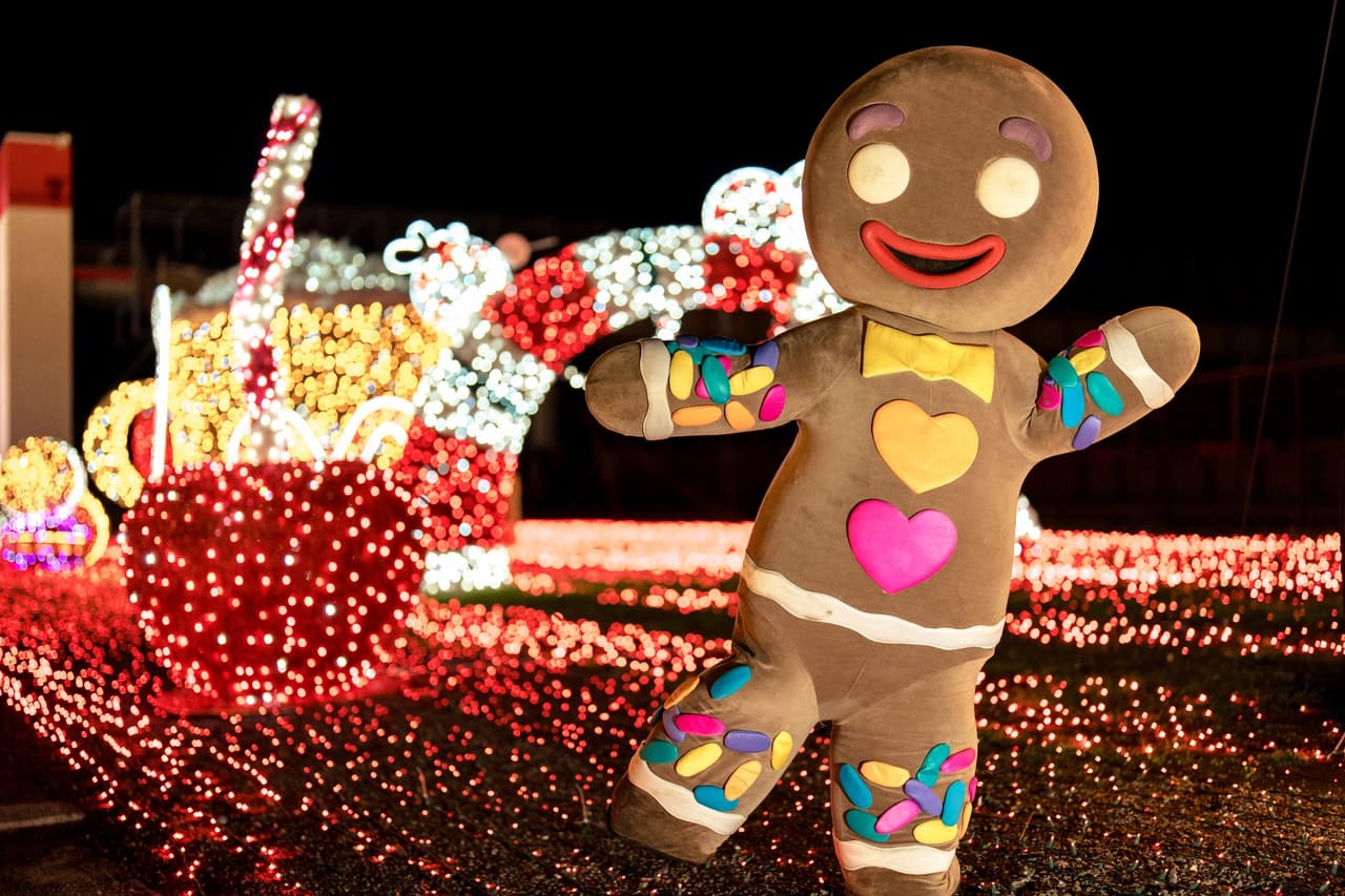 Con precios que van desde los 45 hasta los 99 dólares, estos paquetes ya comprenden la entrada de tu auto y de cuatro de los pasajeros que recorrerán el paseo.