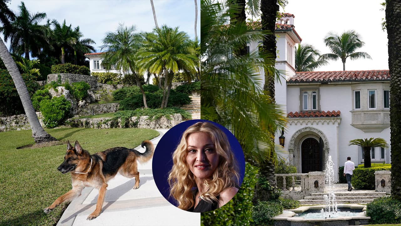 Este perro quiere $31 millones por su mansión en Miami. Sí, leíste bien. Es un perro y es millonario