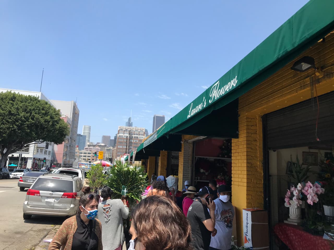 El mayor distrito de flores de Estados Unidos está conformado por unos 200 locales comerciales que distribuyen al mayor, pero también venden a minoristas las más hermosas flores y plantas durante todo el año.