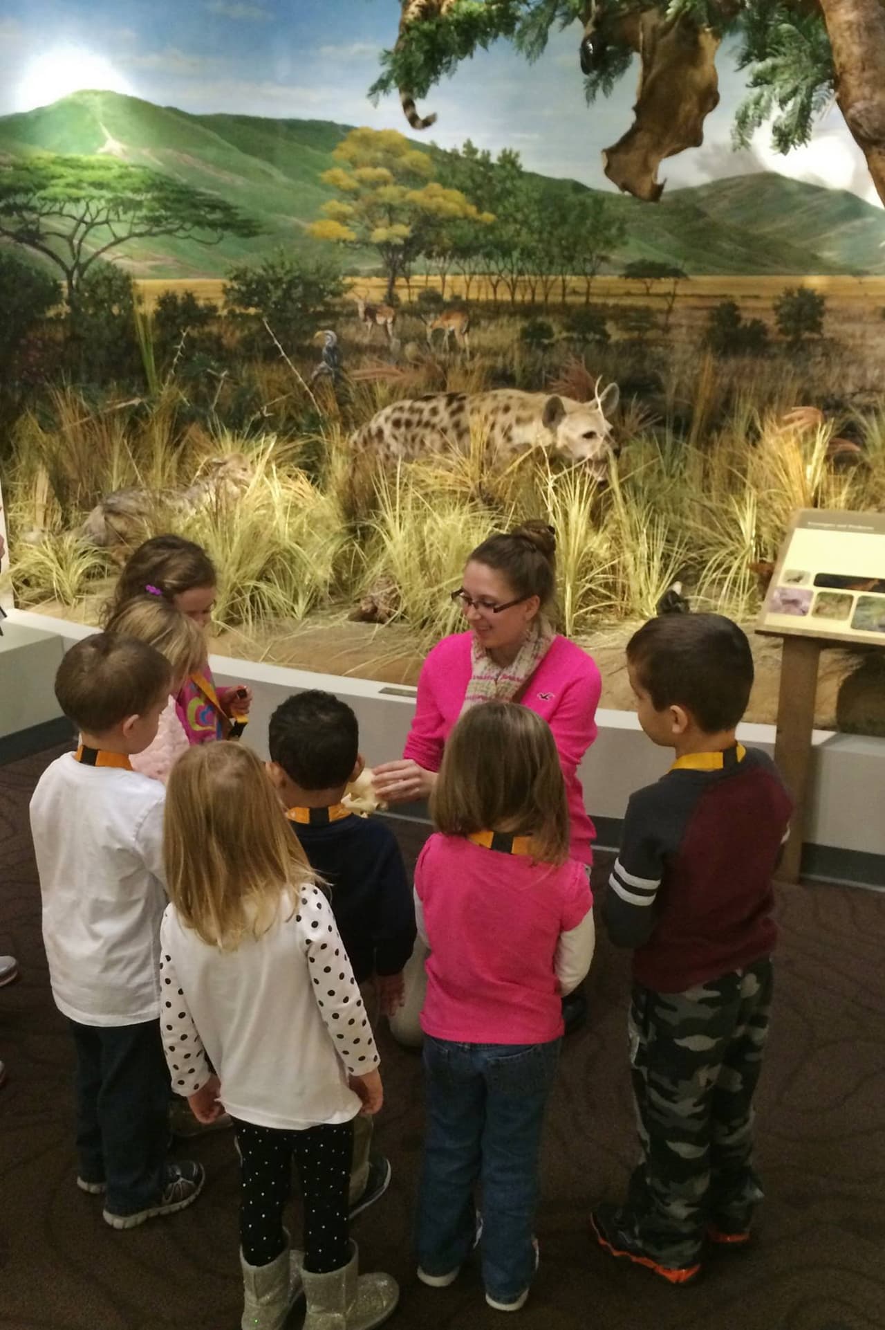 <b><a href="https://www.poconomountains.com/listing/schisler-museum-of-wildlife-%26-natural-history-and-mcmunn-planetarium/3720/" target="_blank">Schisler Museum of Wildlife & Natural History and McMunn Planetarium</a></b>. El Museo Schisler muestra más de 130 especímenes de vida silvestre de todo el mundo, incluida una exhibición global de insectos y un acuario de 350 galones. El Planetario McMunn cuenta con una cúpula de 30 pies que ofrece espectáculos de cielo digitales.