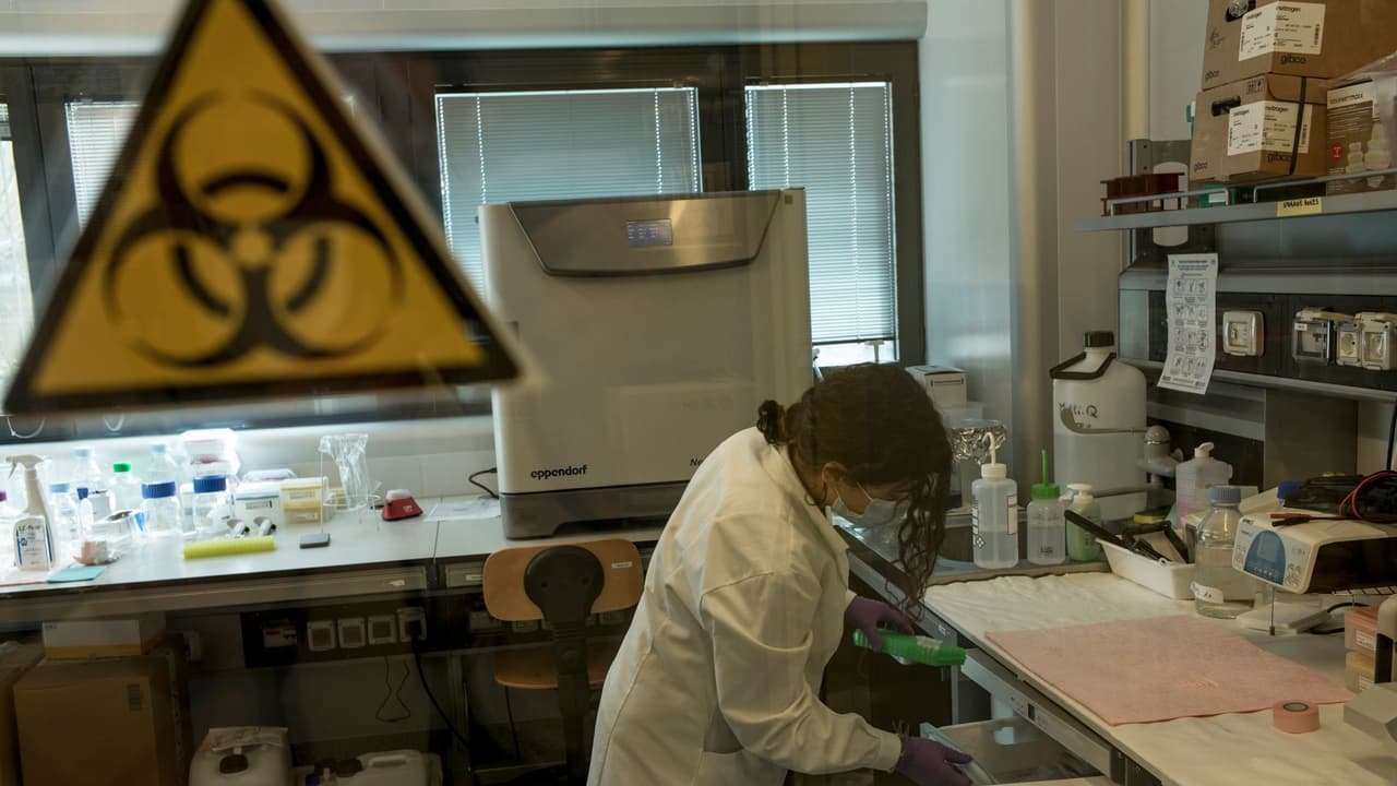 El Dr. Luis Rubio nos explica las diferencias de esta variante con las otras identificadas en el mundo y los nuevos riesgos que implica.