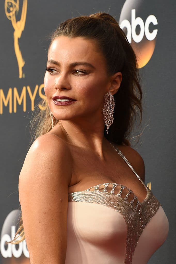 Según el portal especializado en entretenimiento, Deadline, Sofía Vergara será productora ejecutiva de la nueva serie.