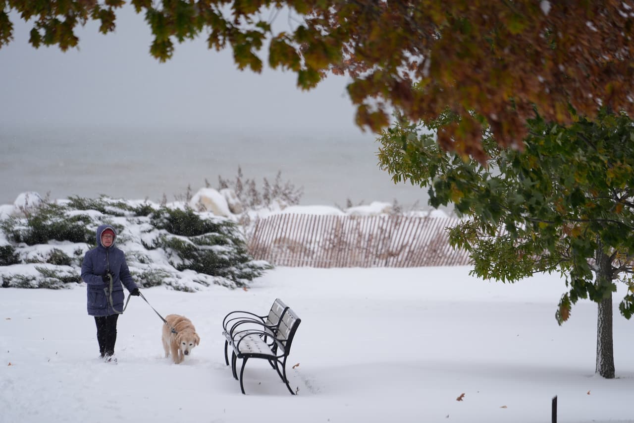 Una mujer pasea a su mascota con este paisaje blanco por la nieve y los árboles pintados de colores otoñales, cerca del lago Michigan.