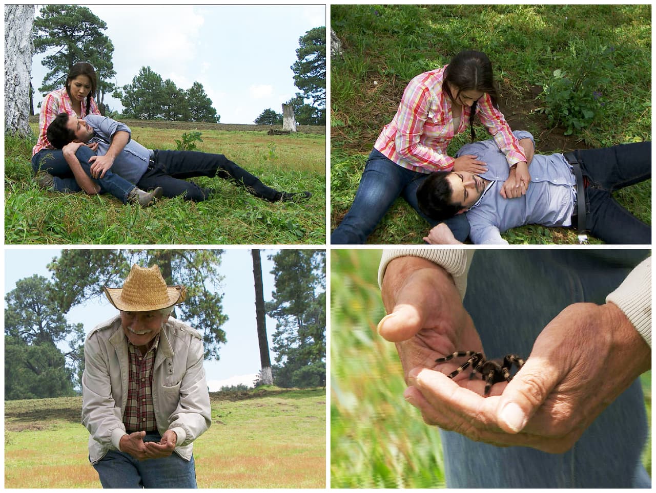 ¡Que viva el amor Hilda Mercedes! Felipe ya te confesó que se muere por ti. ¡Que sean muy felices!
