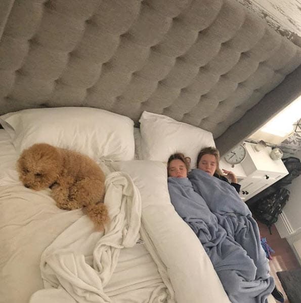 Para Carlos es una bendición que formen parte de su familia: "Estas niñas son mi sangre y son mi todo. La gente se te acerca y te dice 'qué bonito lo que hiciste' ,y no tienen la menor idea de que lo bonito fue lo que hicieron ellas por nosotros. La gran bendición es nuestra", declaró con Don Francisco.