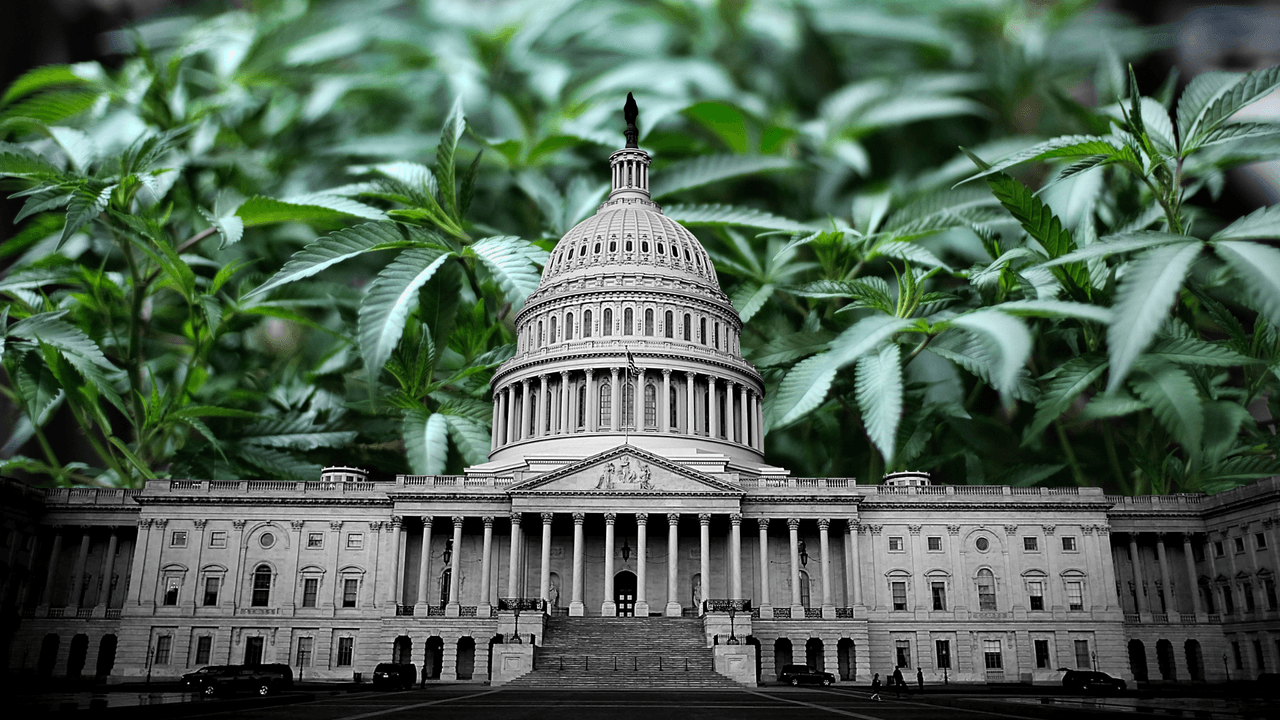 ¡Es histórico! La Cámara de Representantes aprueba proyecto de ley que busca legalizar la marihuana