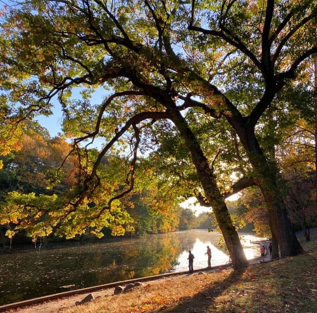 La lista de los parques donde puedes acudir para observar la naturales
<b><a href="https://www.facebook.com/NewJerseyForests/posts/pfbid035JFS7aQyAmUXRTKLvzAA14J9eSvbZDGXRD4ehvx18xTtET1VaJ7V8Wj5SVKVE7p6l" target="_blank"> la tiene disponible el departamento forestal de Nueva Jersey. </a></b>