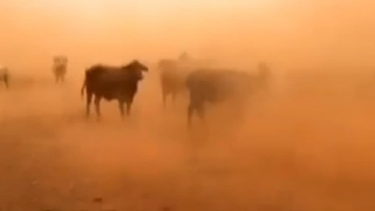 Mira también: Otra tormenta de arena dejó sin visibilidad apenas a un pueblo del estado de Queensland, en Australia.