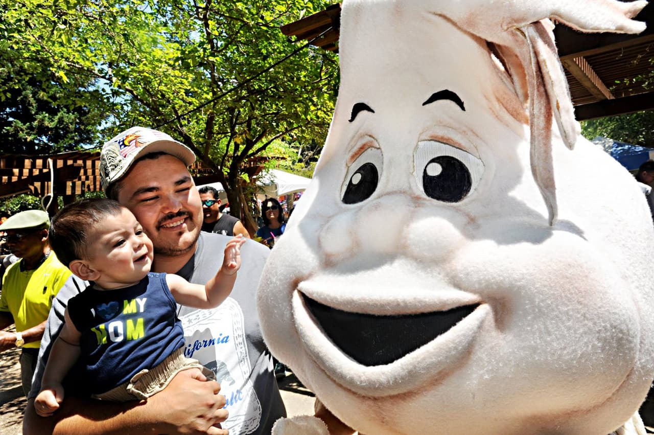 El 41º festival anual del ajo en Gilroy, que durará tres días, comienza este viernes con concursos de cocina, bocadillos, celebridades y buena música.