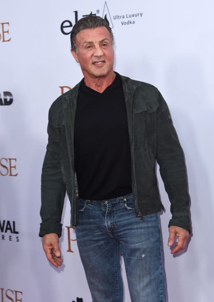 Según Deadline, Stallone dará vida a Sal, un mafioso de la ciudad de Nueva York.
<br>