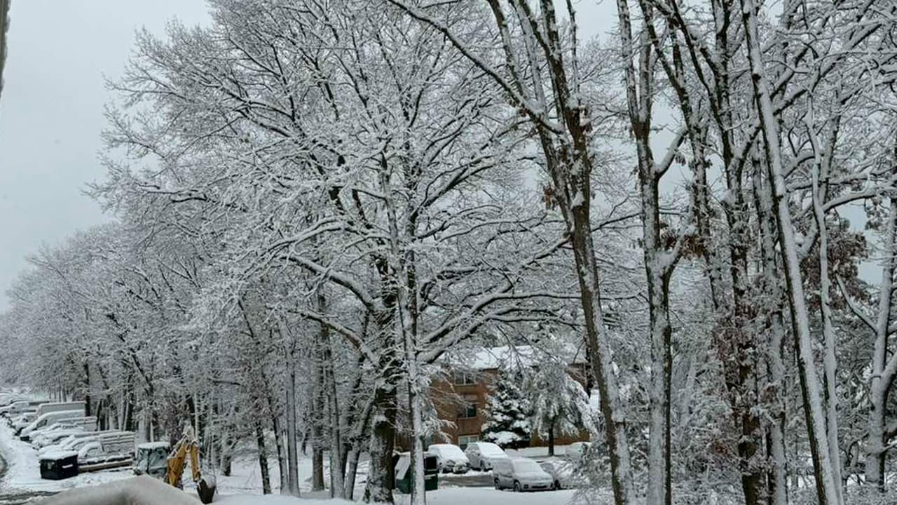 Aunque no se prevén nuevas nevadas para el lunes, 
<b>el frío persistente podría provocar congelamiento de superficies mojadas</b>, manteniendo condiciones peligrosas para peatones y automovilistas en la región triestatal.