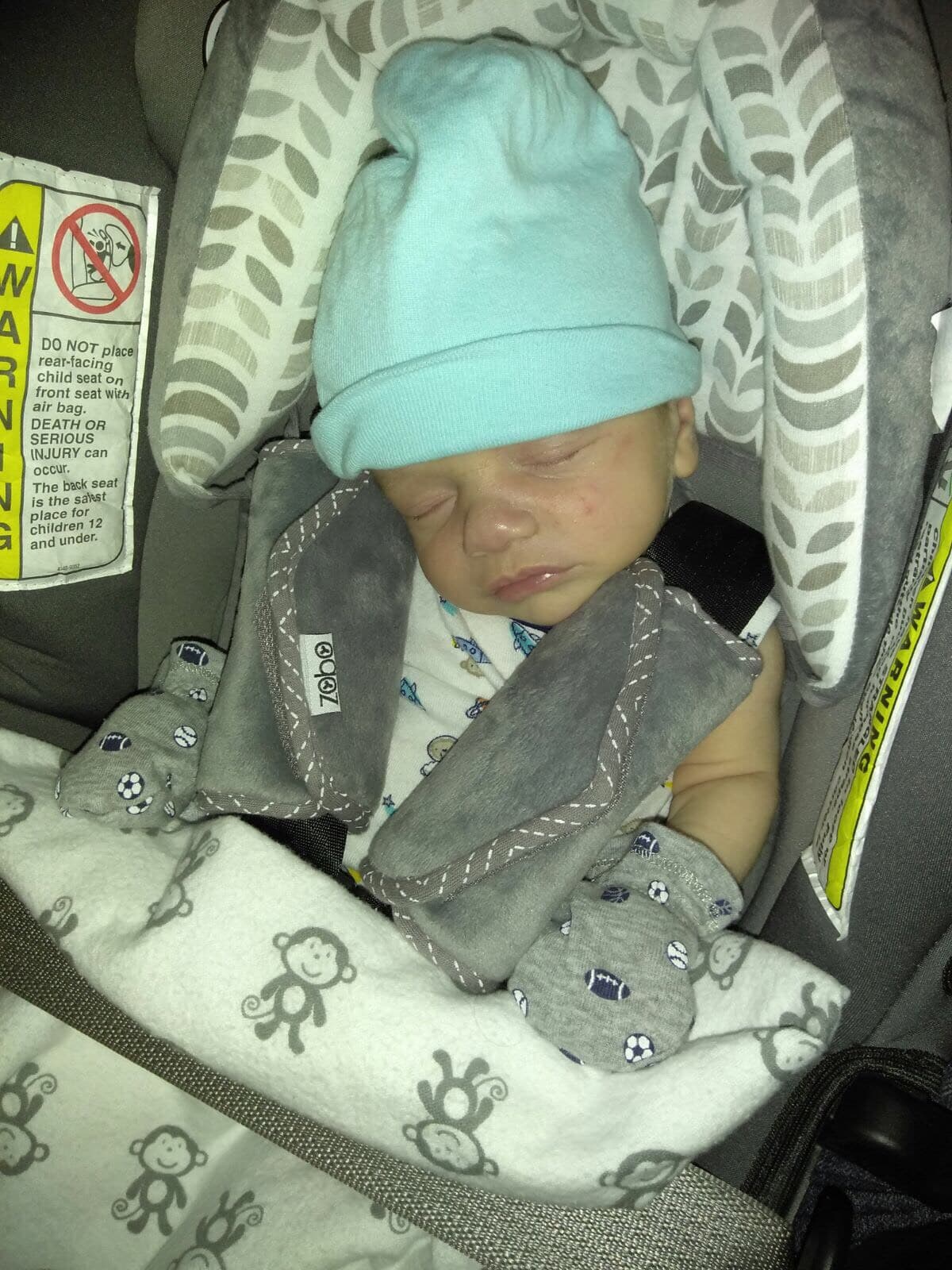 Aquí andaban de paseo pero le dio sueño así que decidió tomarse otra de sus tantas siestas