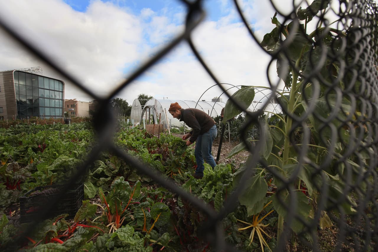 El gran potencial de la agricultura urbana va mucho más allá de los alimentos que produce