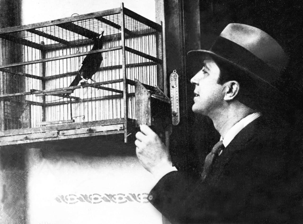 <b>Carlos Gardel</b>: es catalogado como el más importante exponente de tango del siglo XX y su popularidad se incrementó de forma importante después de fallecer en el 1935 en un accidente aéreo.
<br>