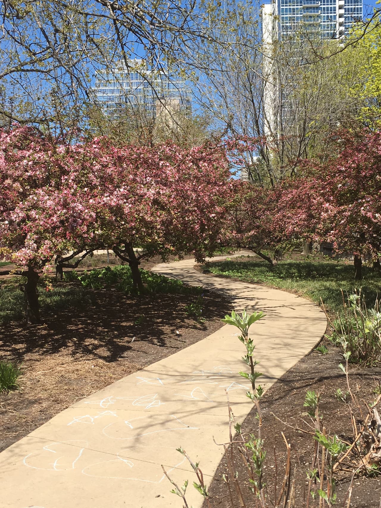 Después de ir a conocer la 'Clarke House', puede aprovechar y quedarse con los niños en el 'Women's Park', un tranquilo oasis en medio de la ciudad.