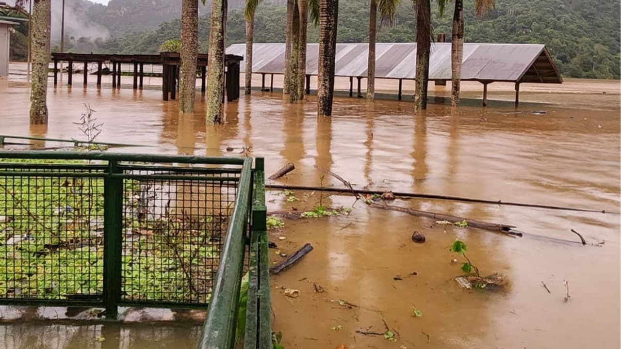 Las fuertes 
<a href="https://www.univision.com/local/puerto-rico-wlii/lluvias-puerto-rico-inundaciones-derrumbes-cierre-de-carreteras-refugios-clases-virtuales">lluvias que han caído en las últimas horas en Puerto Rico</a> ocasionaron inundaciones en diversas partes de la isla.