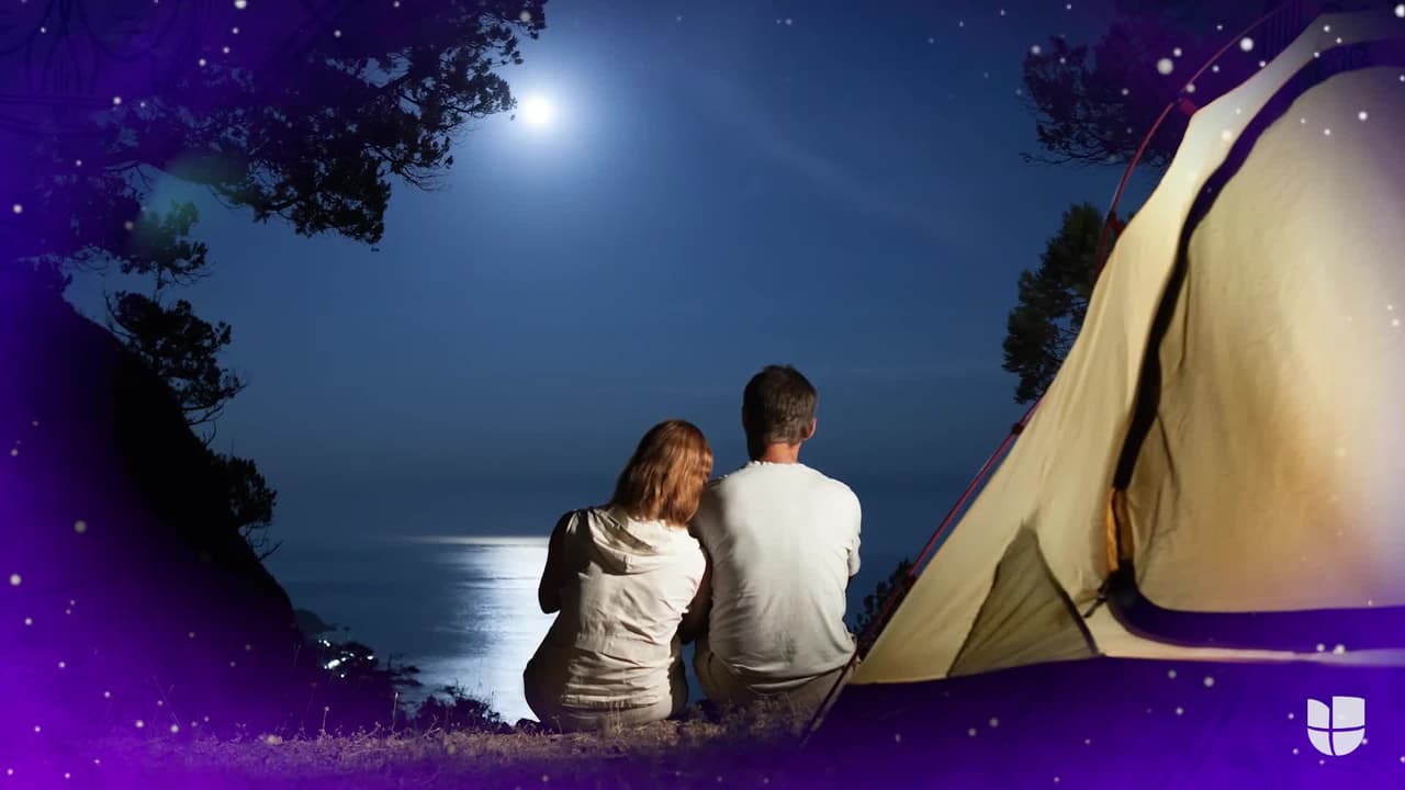 Tauro - Martes 16 de noviembre de 2021: te sentirás muy atraído por asegurar el confort personal