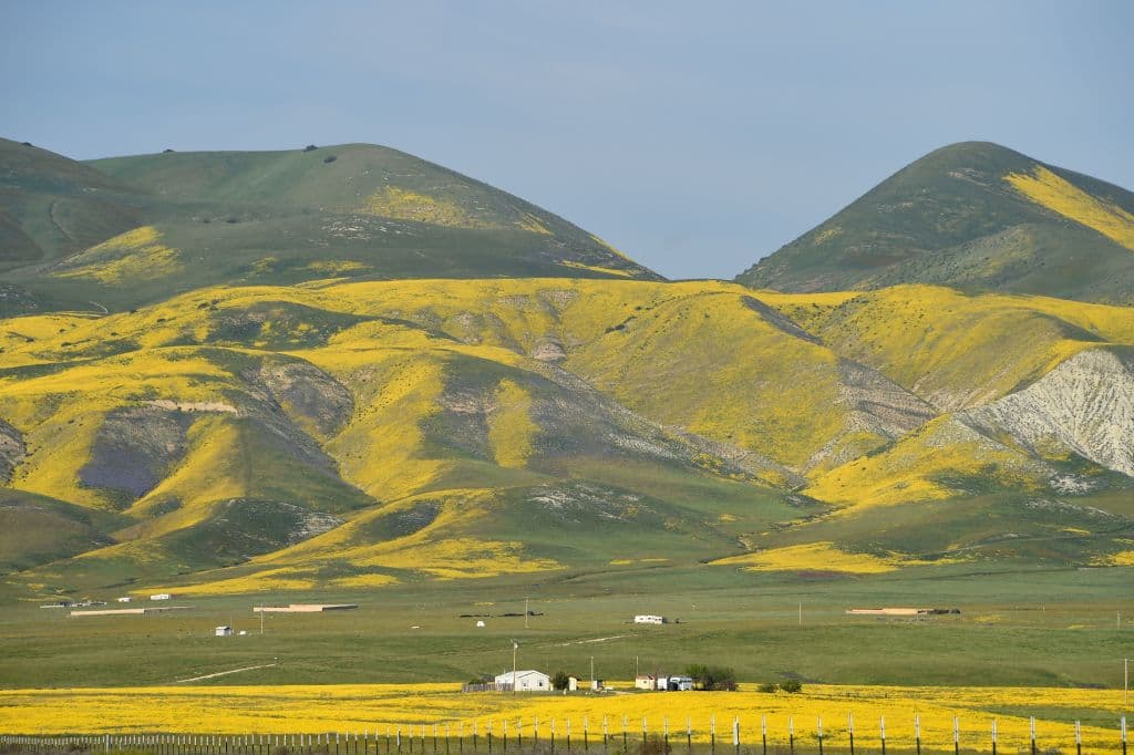 Los lugares más fáciles de recorrer en la llanura de Carrizo, y los más concurridos, son Overlook Hill y el paseo marítimo a lo largo de Soda Lake.