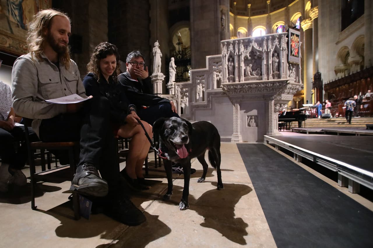 Los dueños de mascotas aman a sus animales.