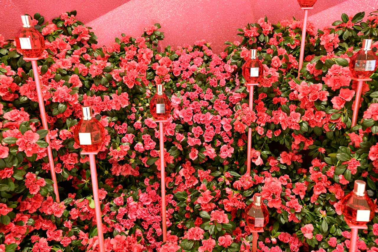 Los jardines temáticos cuentan con miles de flores, plantas y árboles vivos de todo el mundo, ofreciéndole a los visitantes una oportunidad única de disfrutar de estas flores hermosas. 
<br>