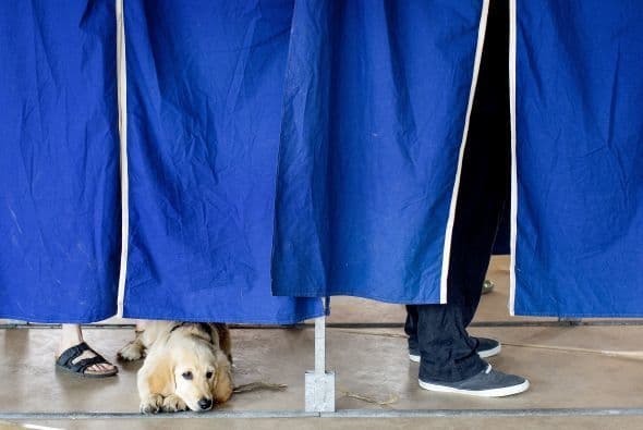 Un hombre y su perro están detrás de una cortina en una cabina de votación durante las elecciones al Parlamento Europeo en Copenhague.