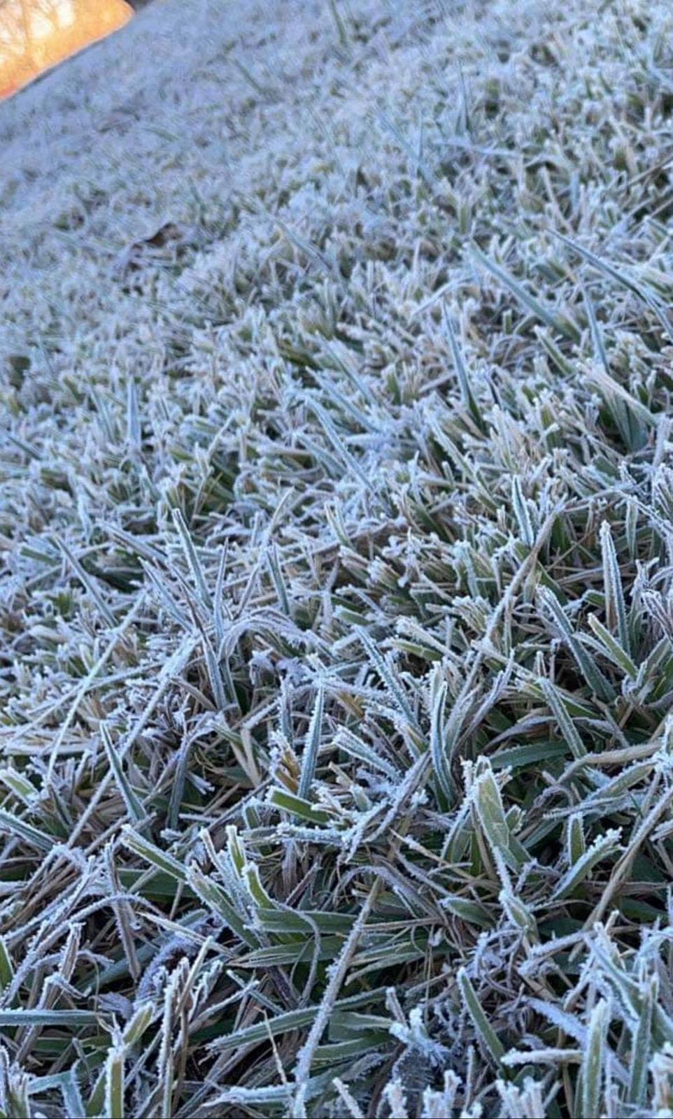 Este martes por la mañana las temperaturas estuvieron al punto de congelación en el norte de Texas.
<br>