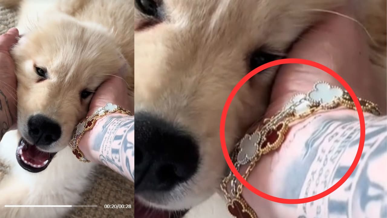 Peso Pluma mostró el tatuaje previamente.