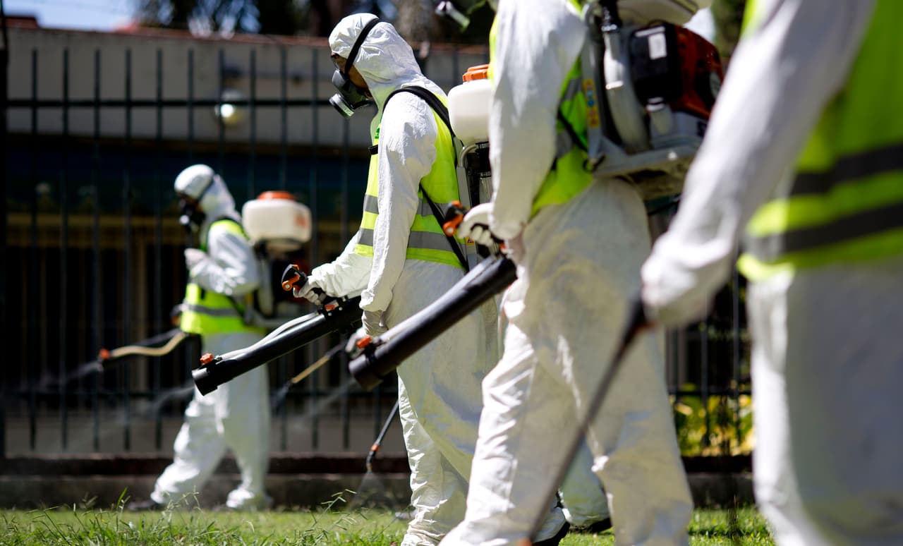 La OMS evalúa declaración de emergencia sanitaria mundial por el zika