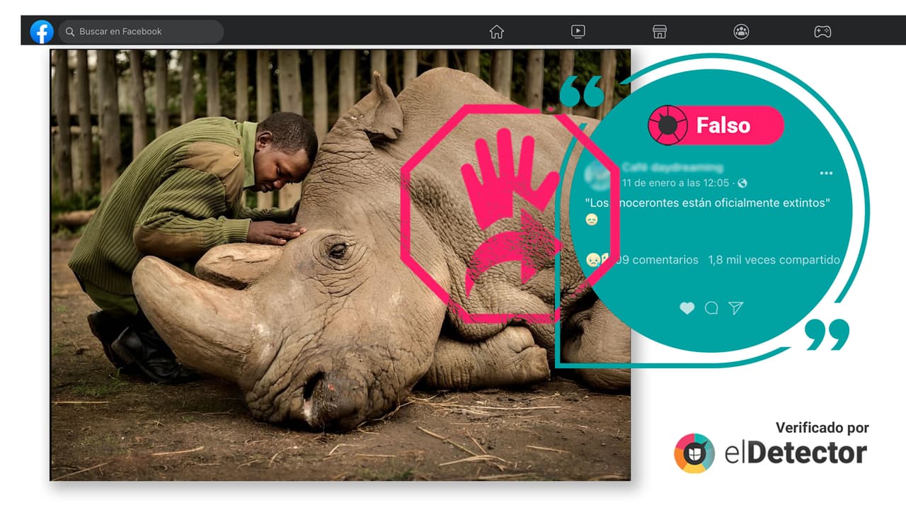 Es falso que los rinocerontes están “oficialmente extintos” 