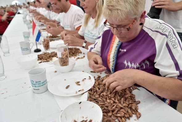 El pasado 3 de agosto se llevó a cabo una competición muy peculiar en Francia, la cual consistió en pelar camarones. Cocina con sabor para tus hijos y prepara platillos nutritivos y ricos en casa. Busca más recetas deliciosas aquí.
