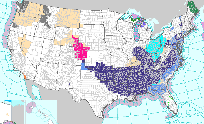 El frío se queda un día más: advertencia de congelación y heladas desde Texas hasta la costa este