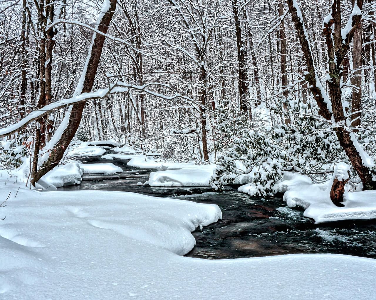 <b>Laurel Hill Lake Trail</b>. Para una caminata de invierno fácil pero cautivadora en Pensilvania, ve al sendero Copper Kettle de una milla. Pasea por el lago helado Laurel Hill, perfecto para tomar fotos, y mira la vida silvestre local.
<br>
<br>
<b><a href="https://goo.gl/maps/nXvQXNxgqDcehrxn6">Cómo llegar</a></b>