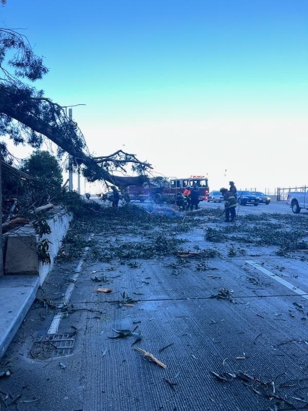 La compañía PG&E informó que la caída de árboles y cables eléctricos han dejado sin luz a más de 100,000 residentes en toda el Área de la Bahía.