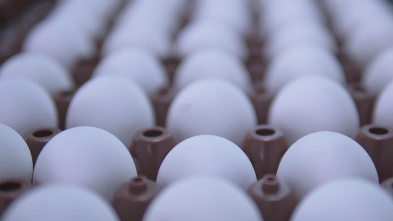 Se espera incremento en el precio de las roscas de Reyes por alza en productos como el huevo