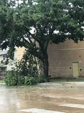 Varias inundaciones en varios sectores fueron la orden de la tarde.