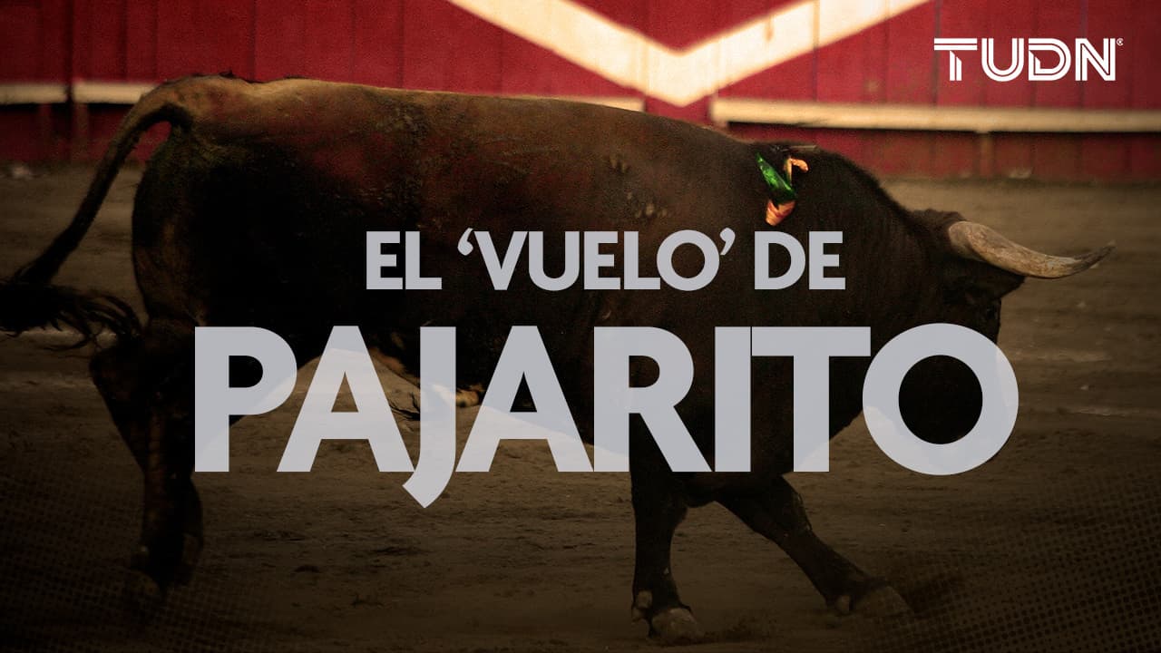 El día que se cimbró la Plaza México: El 'vuelo' de Pajarito