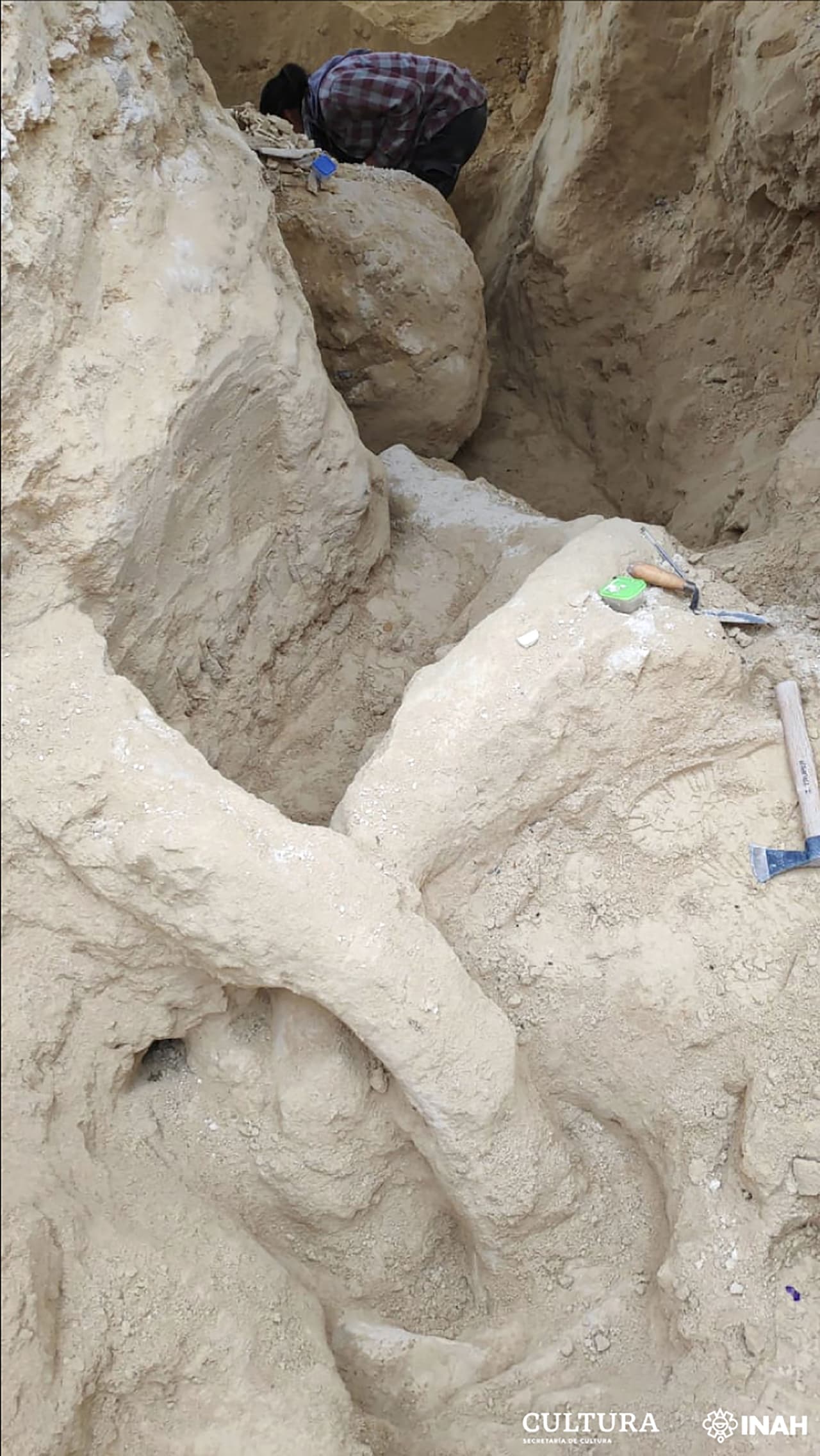 Especialistas trabajando en el área donde fueron encontrados los restos del mamut.
<br>
<br>El biólogo mexicanoIván Alarcón Durán acudió al sitio para hacer la inspección y verificó que se trataba de “huesos de megafauna del Pleistoceno”,
<a href="https://www.univision.com/noticias/ciencia/proyecto-cientifico-colossal-busca-revivir-al-mamut-lanudo-genetica-ciencia"><u>animales de gran tamaño que existieron hace 10,000 años</u></a>.
