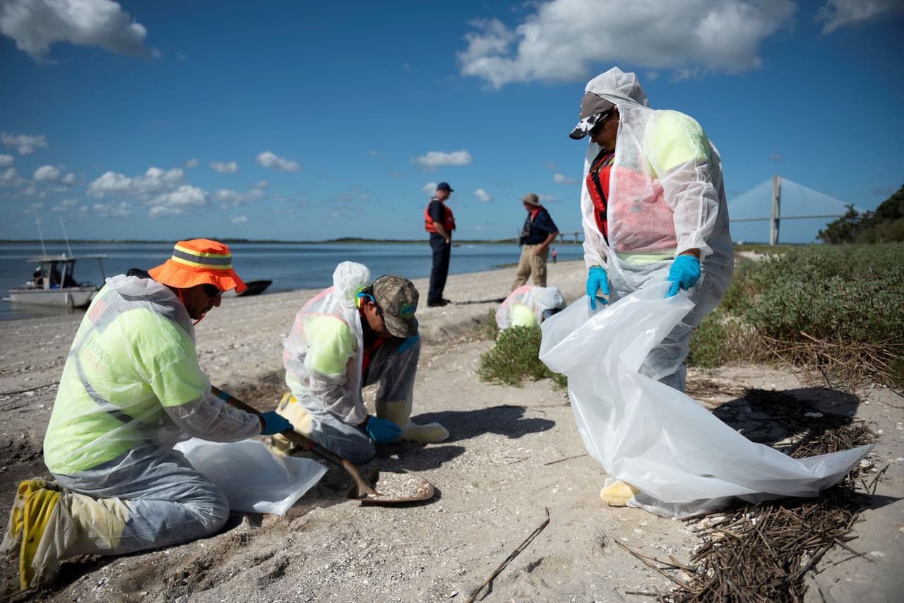 <a href="https://ssiresponse.com/category/news-releases/" target="_blank">El Departamento de Recursos Naturales de Georgia, la Guardia Costera y otros organismos</a> dijeron que equipos trabajan en limpiar la contaminación detectada en Quarantine Beach, en el área de Brunswick, y otros lugares.