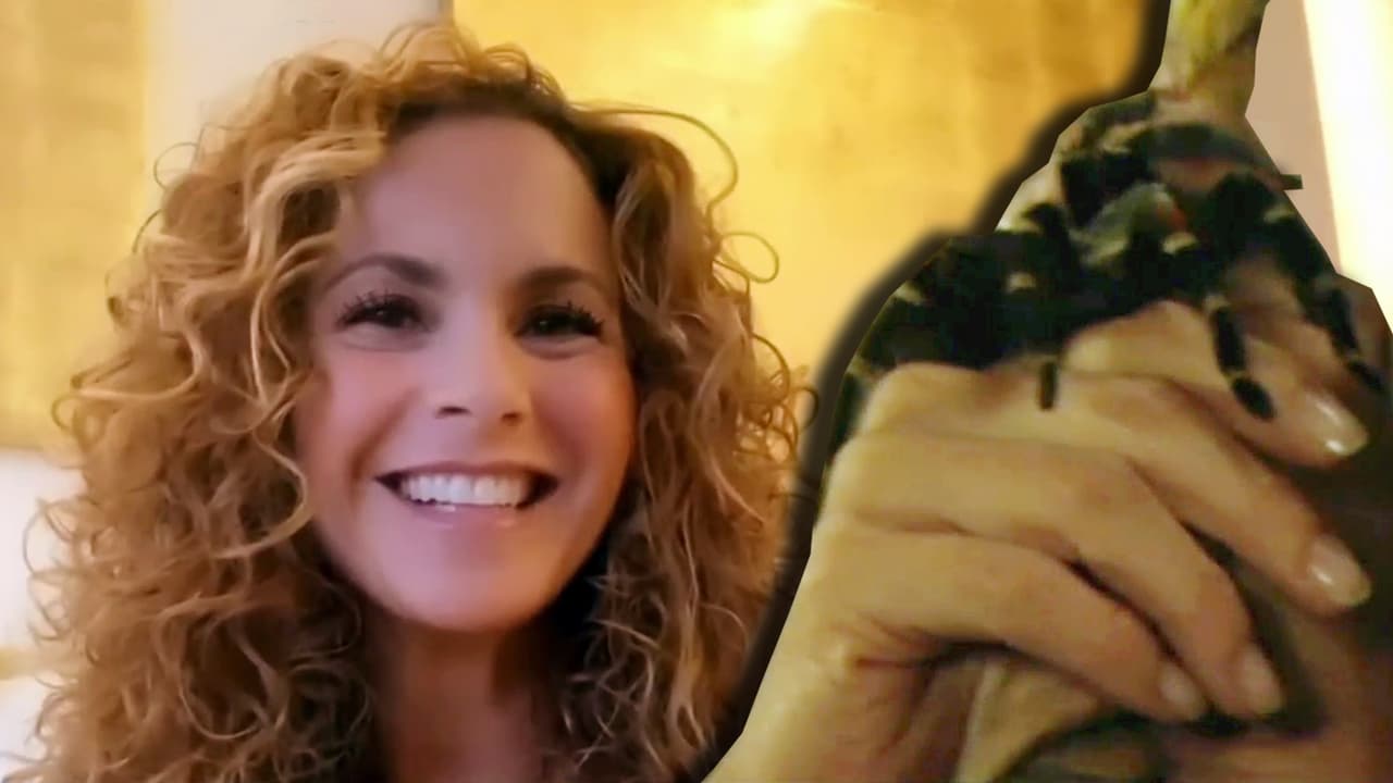 "Todos los proyectos que me han ofrecido, los cuales agradezco muchísimo,
<b> <a href="https://www.univision.com/famosos/carla-estrada-quiere-a-lucero-de-regreso-en-las-telenovelas-con-el-remake-de-el-privilegio-de-amar-fotos" target="_blank">no me han enamorado</a></b>, no me han apasionado como para volver a las grabaciones y a un trabajo que es muy absorbente de todos días", admitió.
<br>