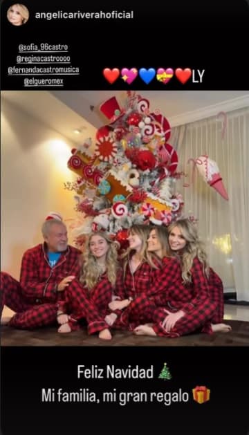 Rivera también compartió la fotografía en sus historias de Instagram: “Feliz Navidad. Mi familia, mi gran regalo”, puntualizó en un mensaje.
