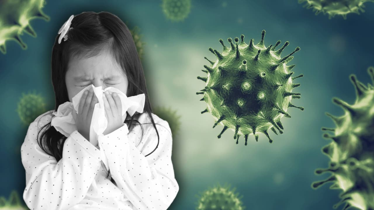 Ante escasez de medicinas para tos y gripe, recurren a remedios caseros. ¿Son efectivos? Un doctor nos explica