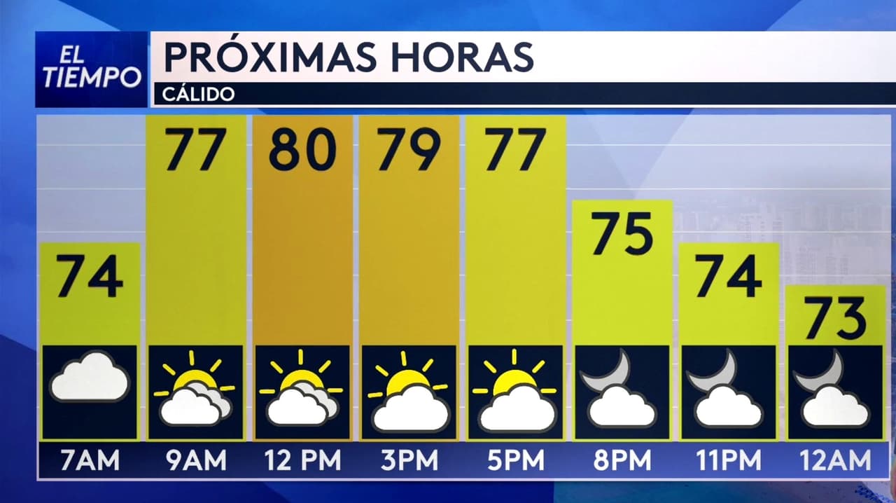 Pronóstico del tiempo hoy en Miami: Cielos parcialmente nublados; el termómetro alcanzará 80 °F
