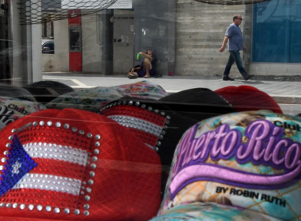De la cultura a la crisis, la diáspora puertorriqueña realiza cumbre en Nueva York en torno a la isla