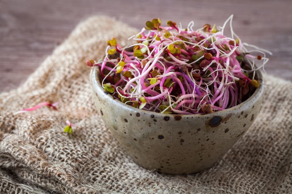 Además el germen es la parte del trigo que tiene más nutrientes al ser una fuente importante de proteínas, minerales y vitamina E. Te ayuda a regenerar los tejidos, a mantener tus músculos en prefectas condiciones y una buena salud cardiovascular. ¿Quieres más?