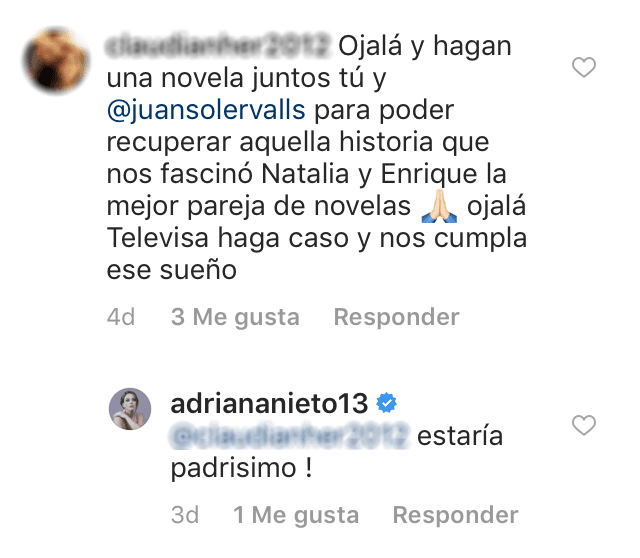 Aunque se dice que Adriana Nieto tuvo problemas con Juan Soler, ahora la actriz aseguró que "estaría padrísimo" trabajar junto a él.