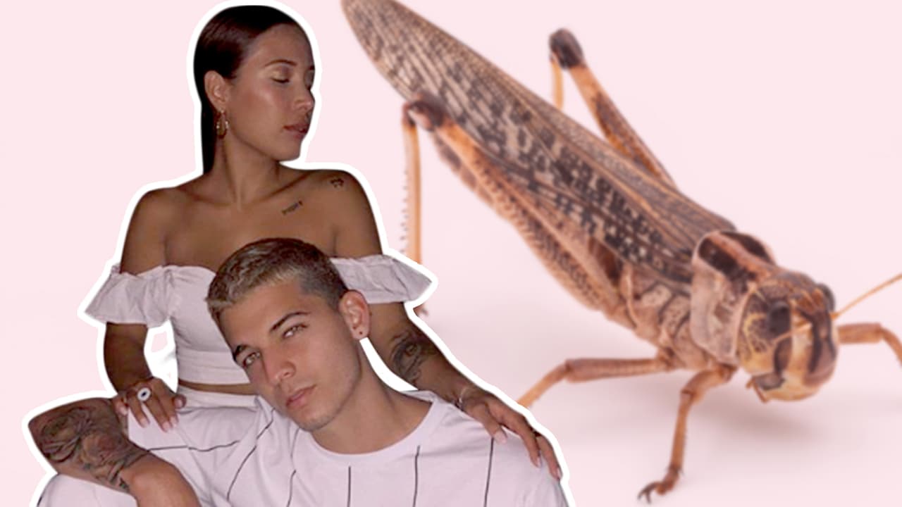 Luisa Fernanda W asegura que a través de un grillo recibió un mensaje de Legarda, su asesinado novio