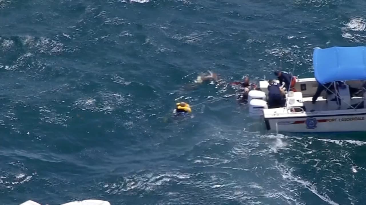 Según la Comisión de Conservación de Peces y Vida Silvestre de la Florida, el incidente ocurrió a las 2:30pm